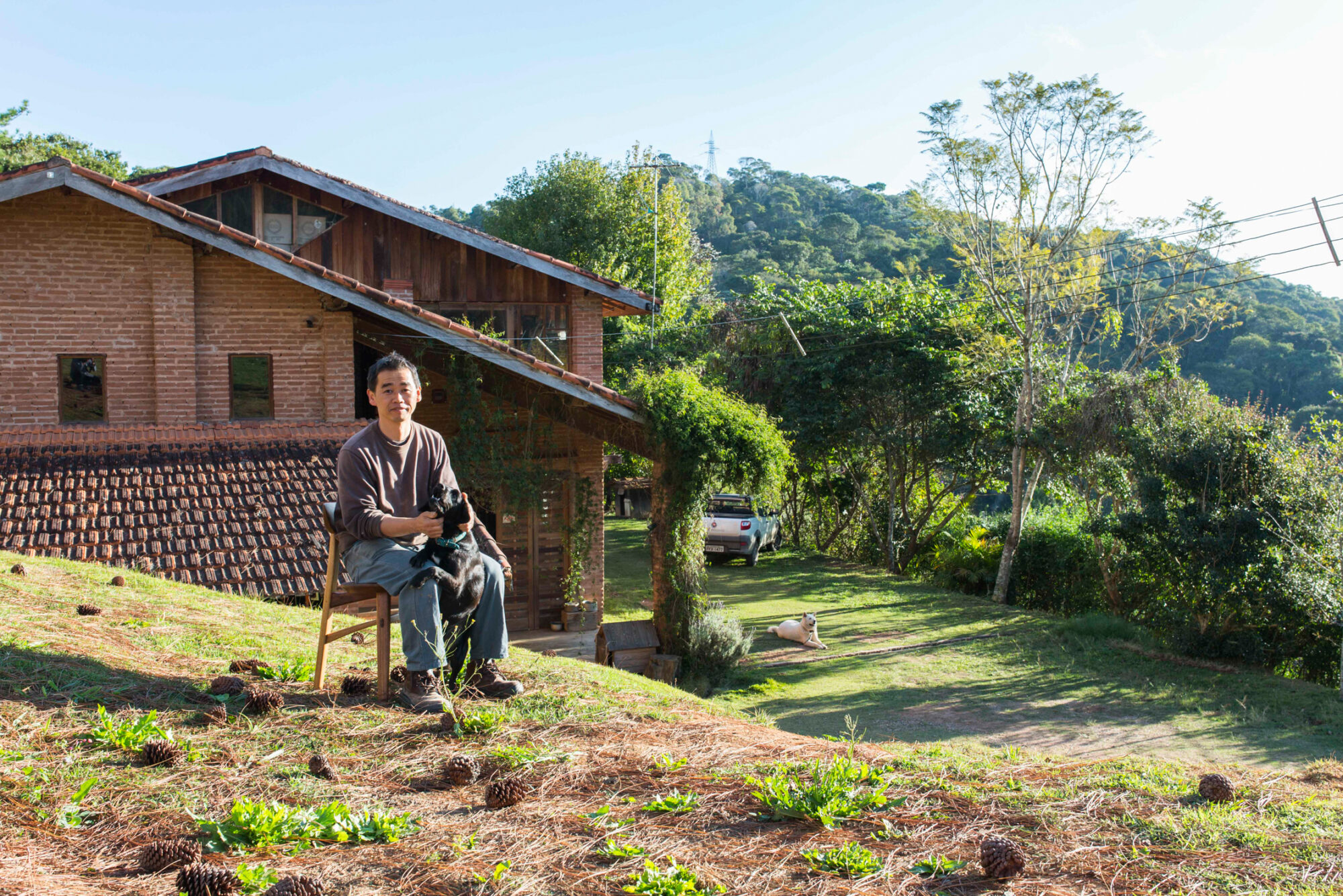Where Japan meets Brazil: Woodworker Morito Ebine transplants traditional joinery