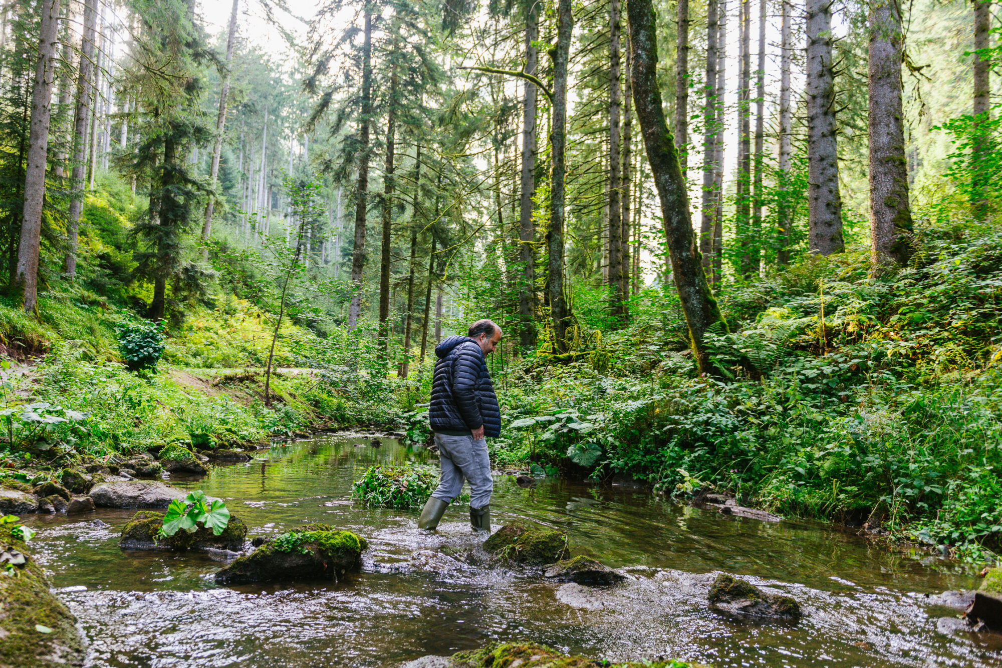 After the gin flood: How Alexander Stein turned Monkey 47 into a long-running hit