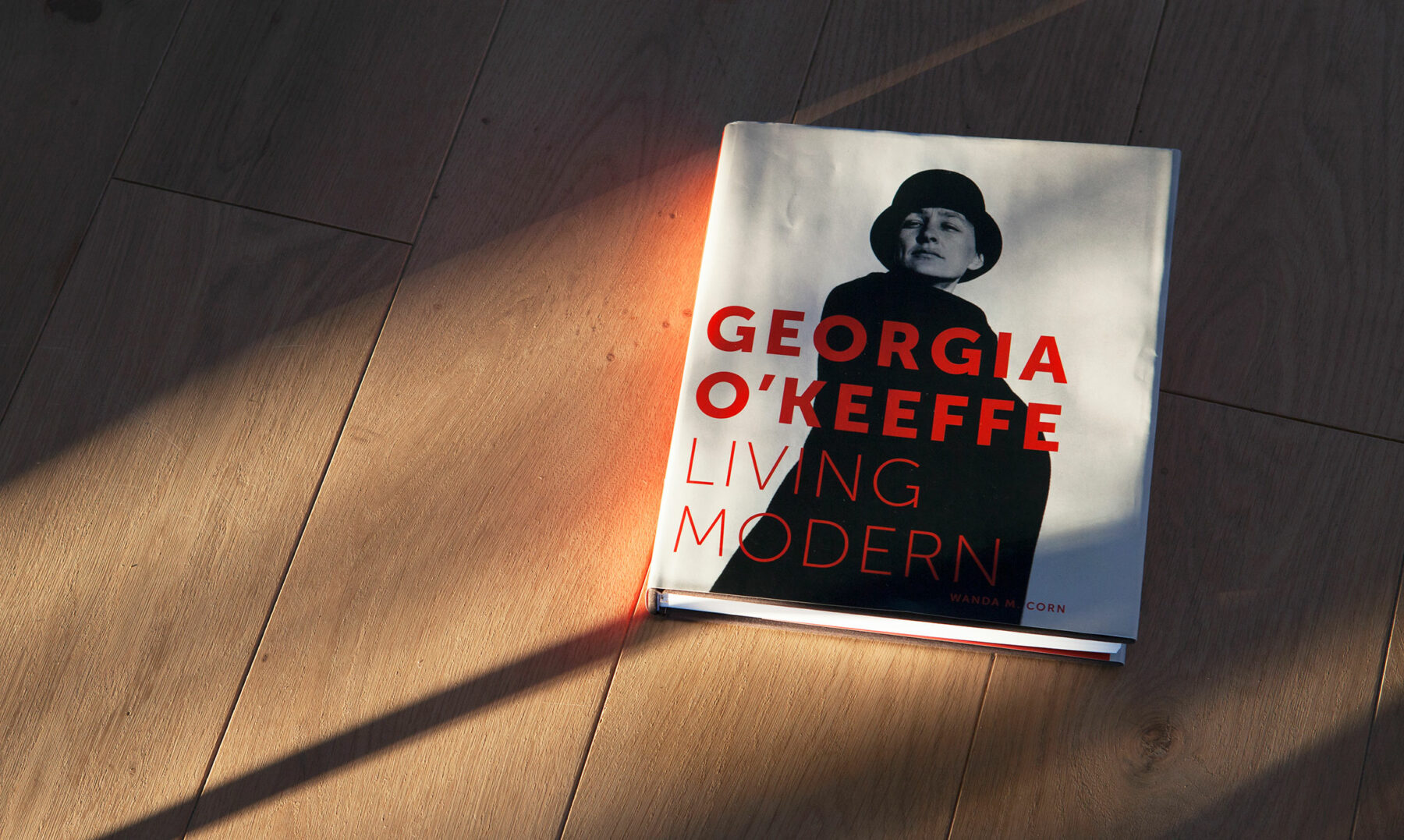 Living Modern, a new book and exhibition, takes a fresh look