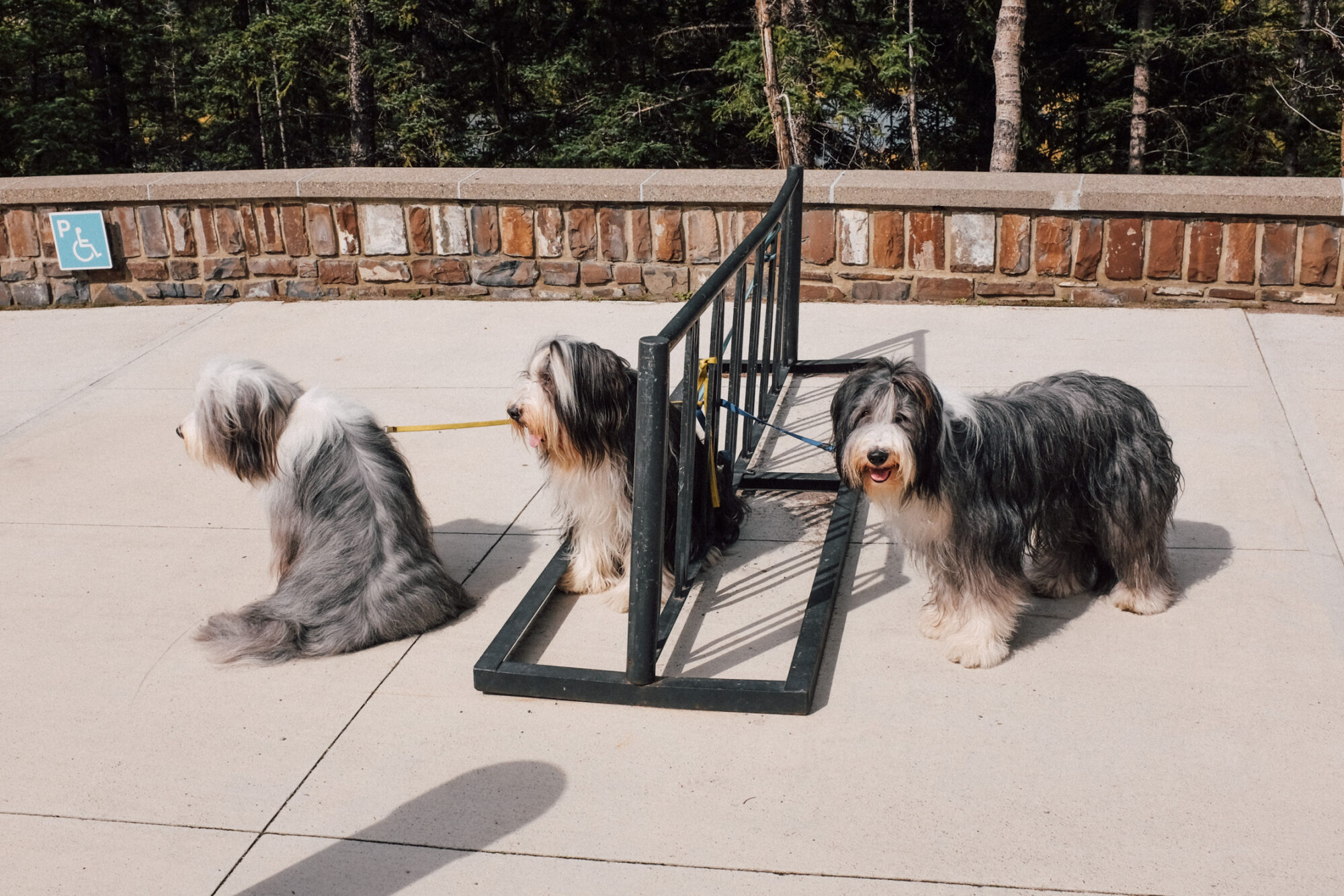 How Berlin-based photographer Maximilian Virgili gives a different view on Canada