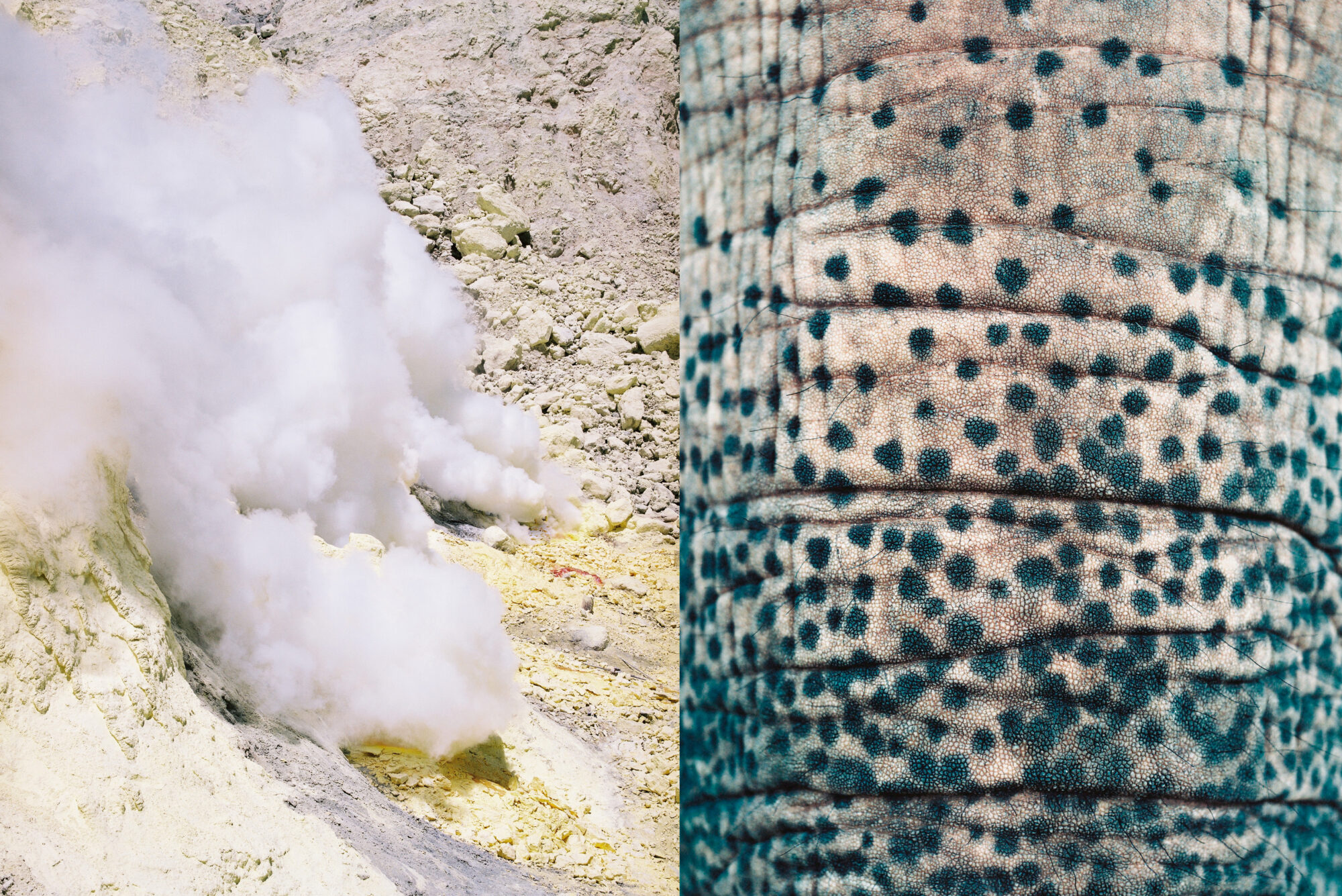 Bilingual Perdiz Magazine showing how we perceive the world through noise